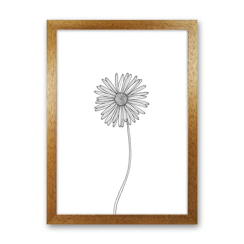 Daisy Art Print by Carissa Tanton Oak Grain