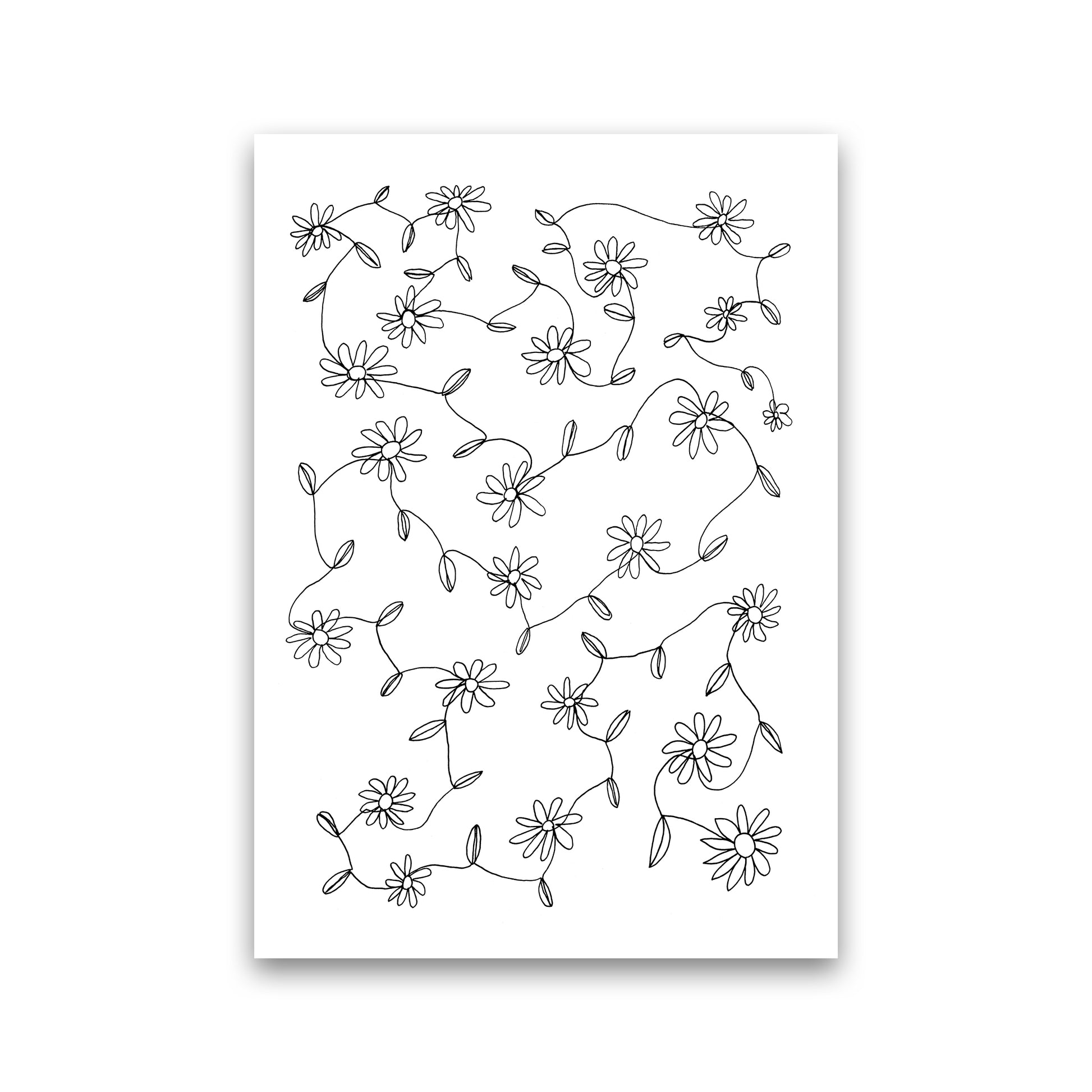 September Daisies Art Print by Carissa Tanton Print Only