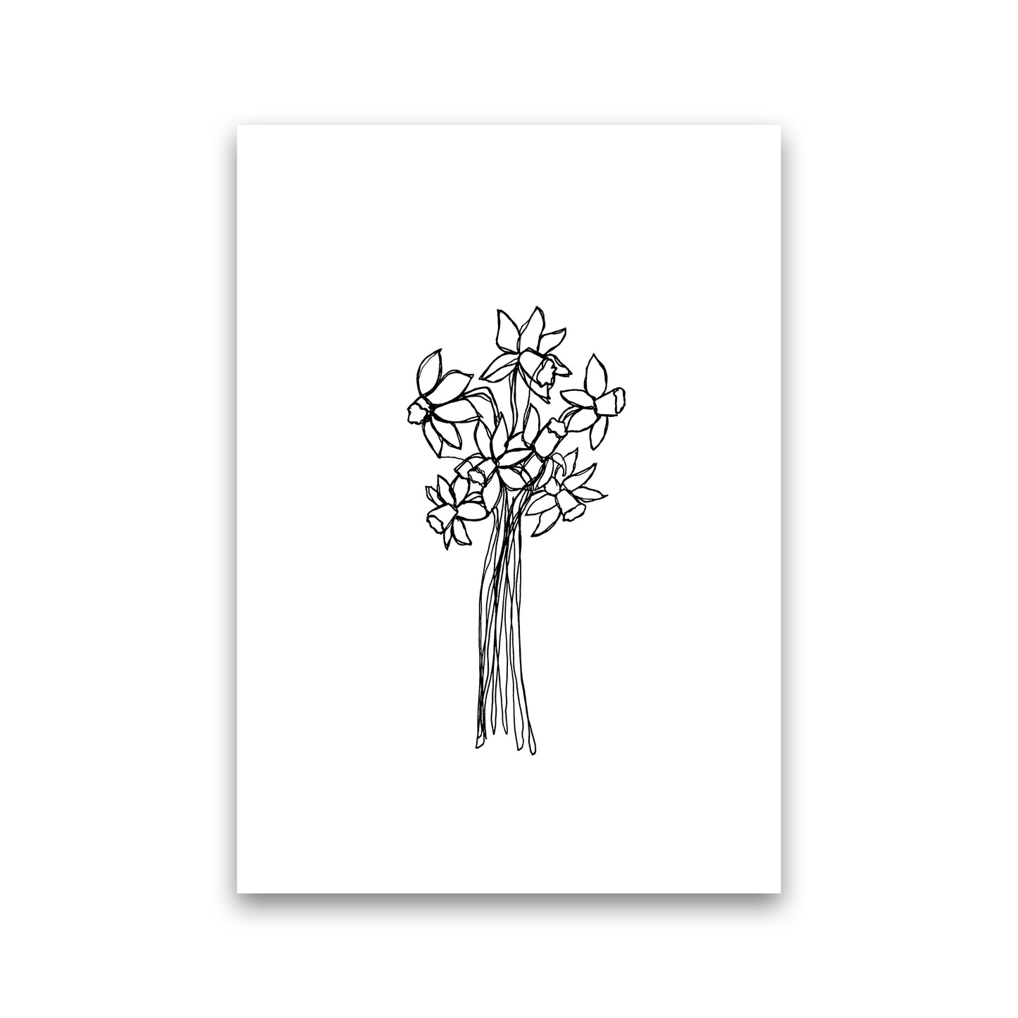 Daffodils Line Art Print by Carissa Tanton Print Only