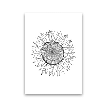 Sunflower Art Print by Carissa Tanton Print Only