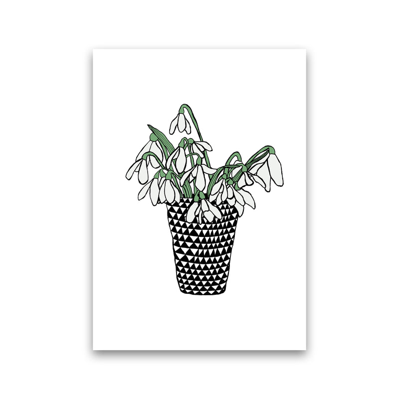 Snowdrops Art Print by Carissa Tanton Print Only