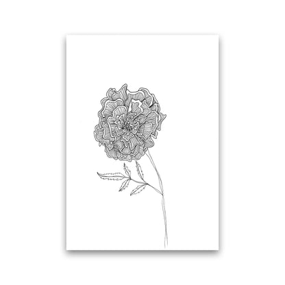 Marigold Art Print by Carissa Tanton Print Only