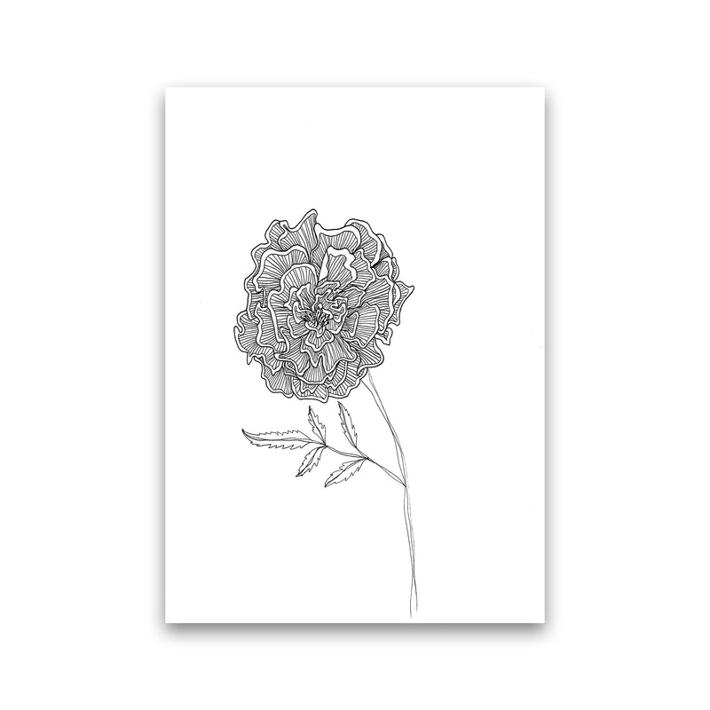 Marigold Art Print by Carissa Tanton Print Only