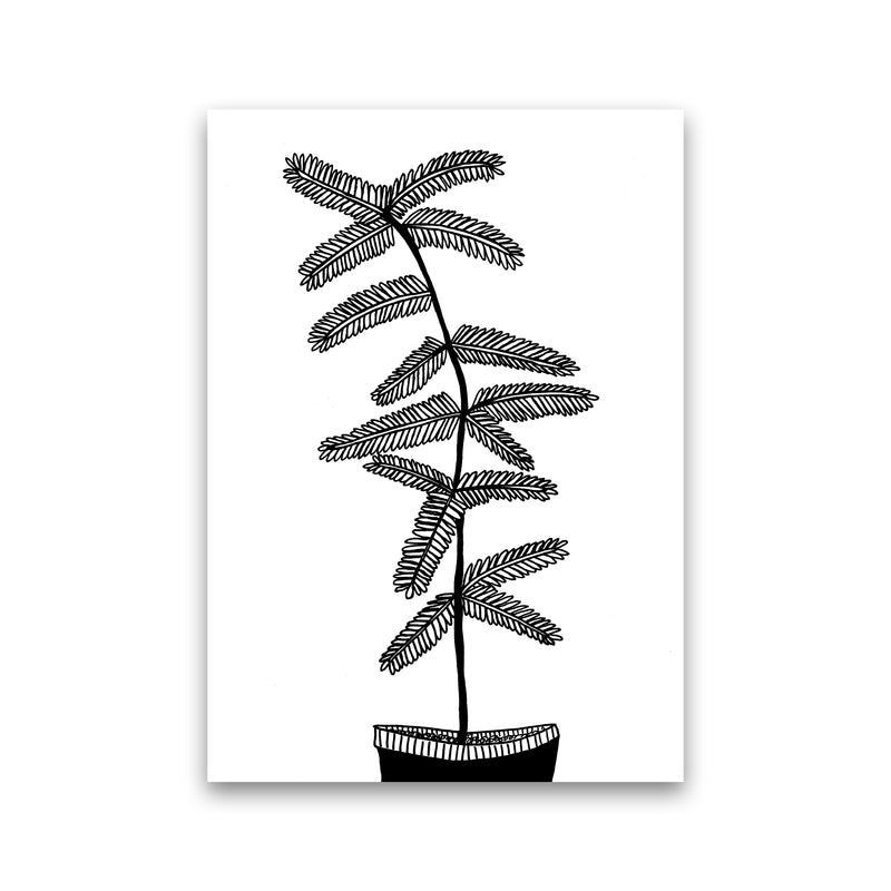 Mimosa Art Print by Carissa Tanton Print Only