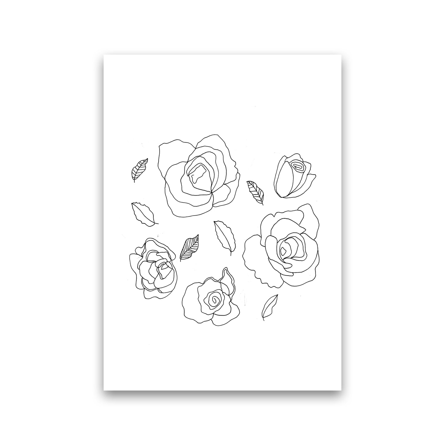 Roses Art Print by Carissa Tanton Print Only