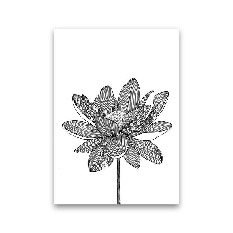 Lotus Art Print by Carissa Tanton Print Only
