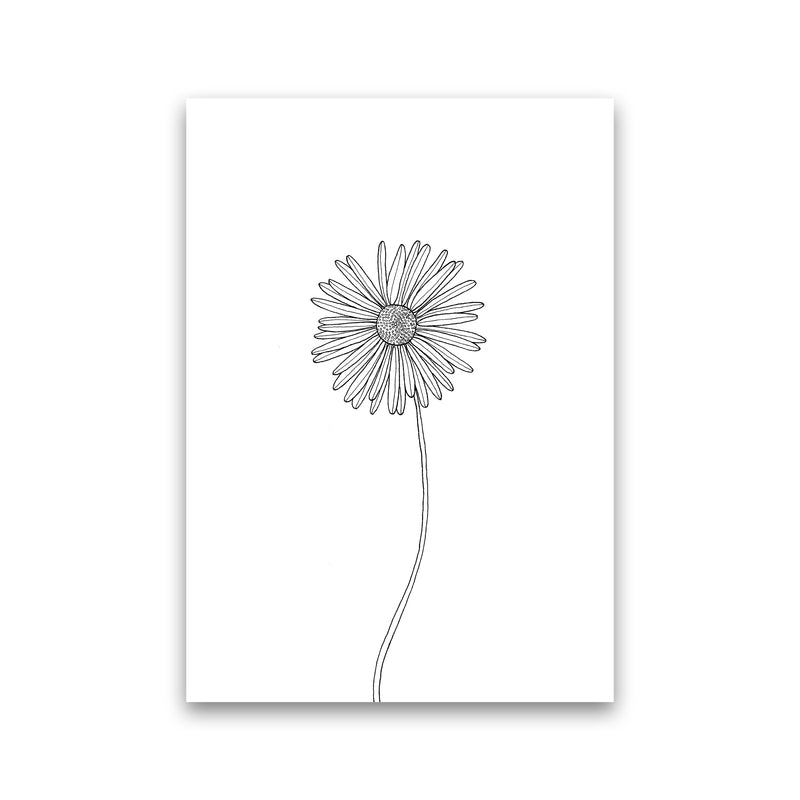 Daisy Art Print by Carissa Tanton Print Only