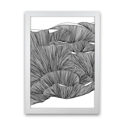 Oyster Mushrooms BW Art Print by Carissa Tanton White Grain