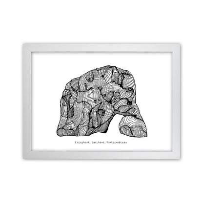 Font Elephant Art Print by Carissa Tanton White Grain