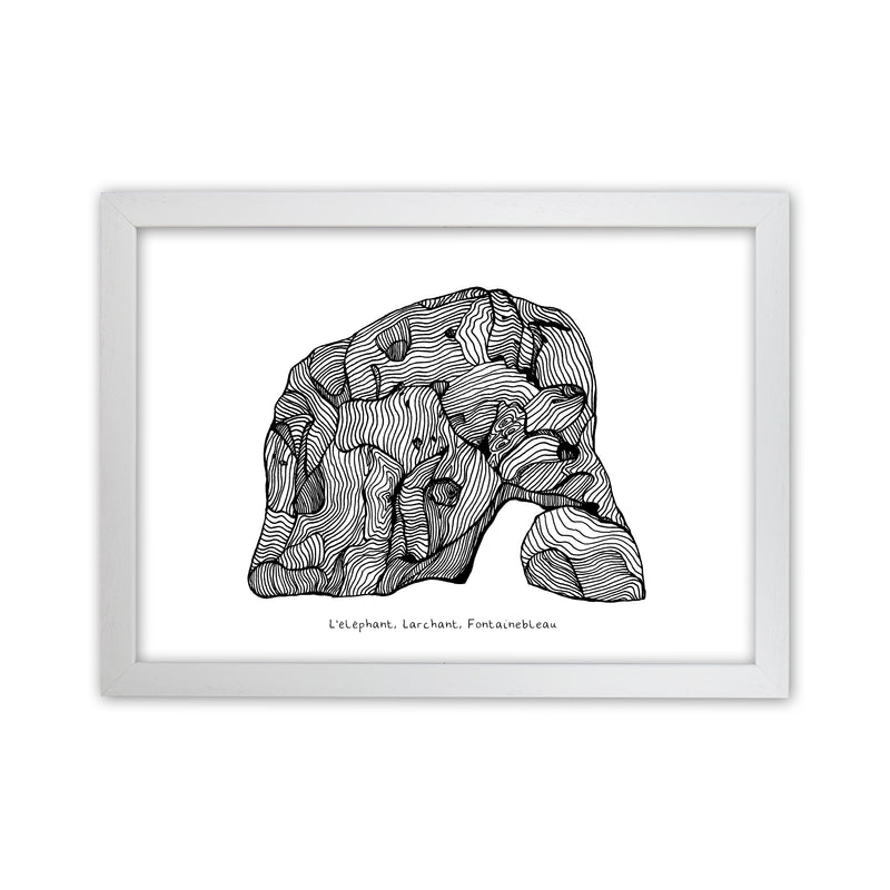 Font Elephant Art Print by Carissa Tanton White Grain