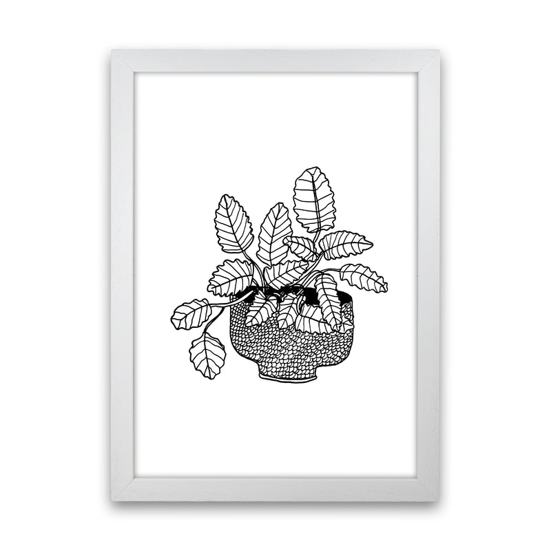 Peppermint Art Print by Carissa Tanton White Grain
