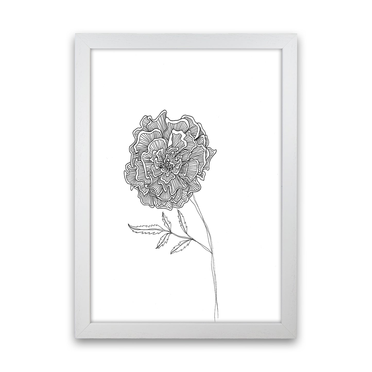 Marigold Art Print by Carissa Tanton White Grain