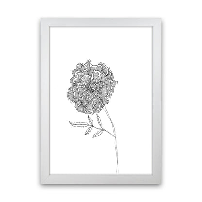 Marigold Art Print by Carissa Tanton White Grain