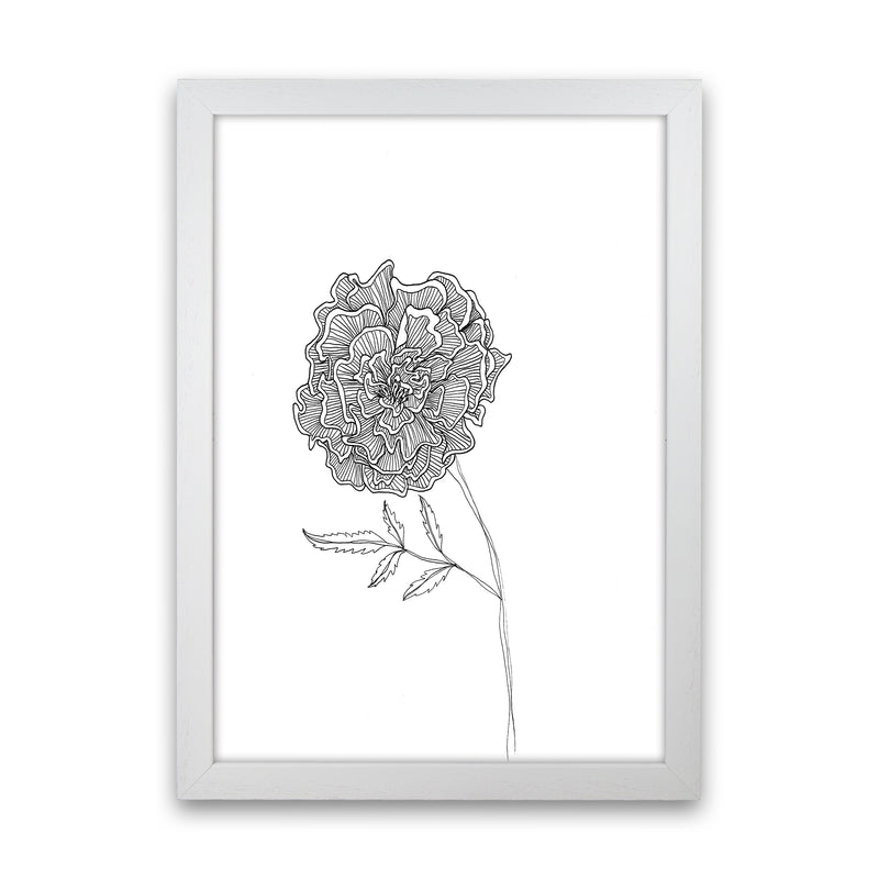 Marigold Art Print by Carissa Tanton White Grain