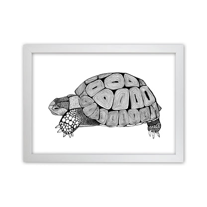 Tortoise Art Print by Carissa Tanton White Grain