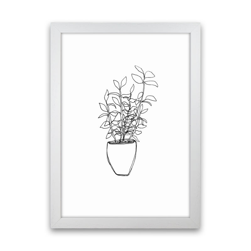 Tea Plant Art Print by Carissa Tanton White Grain