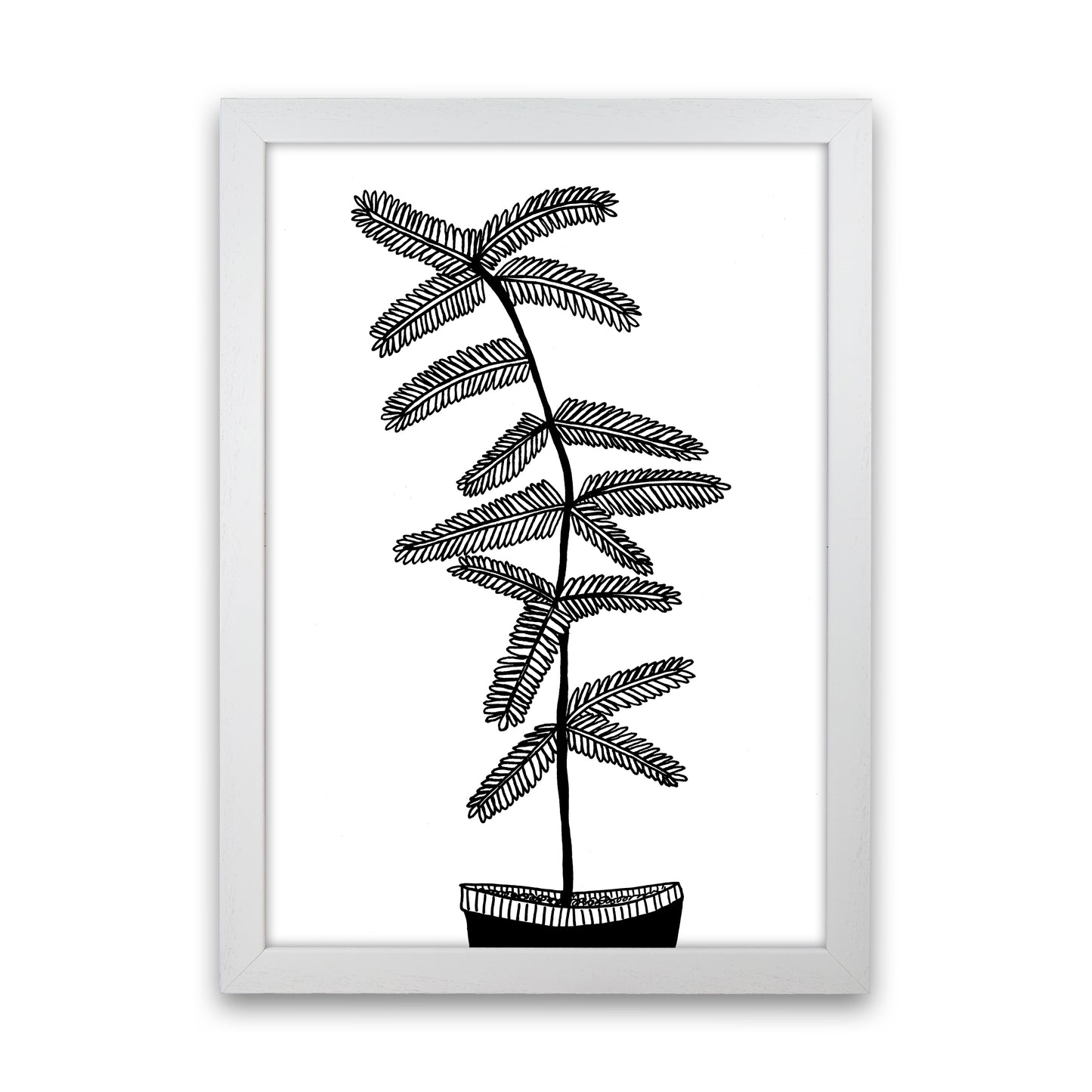 Mimosa Art Print by Carissa Tanton White Grain