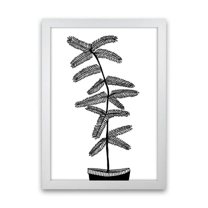 Mimosa Art Print by Carissa Tanton White Grain