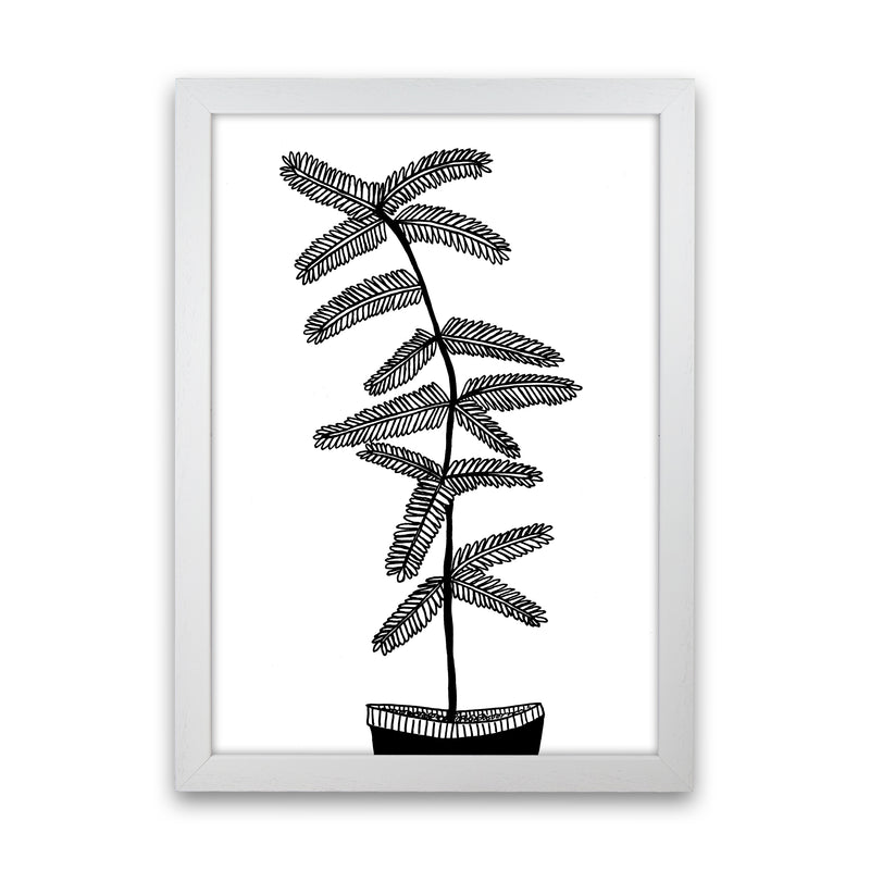 Mimosa Art Print by Carissa Tanton White Grain