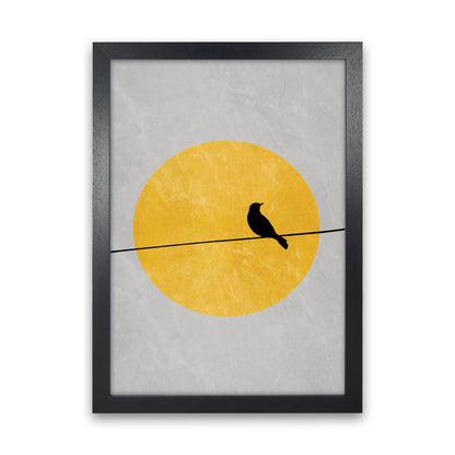Lone Bird Art Print by Essentially Nomadic Black Grain