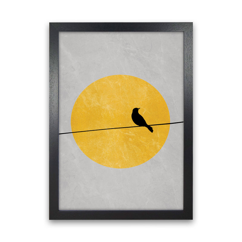 Lone Bird Art Print by Essentially Nomadic Black Grain