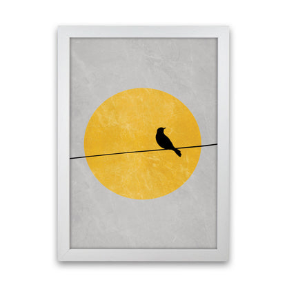Lone Bird Art Print by Essentially Nomadic White Grain