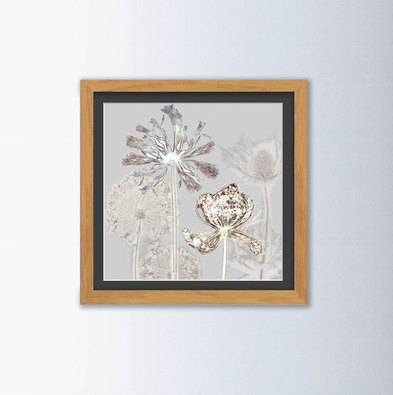Cow Parsley By Gillian Arnold