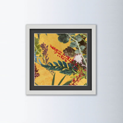 Botanical By Gillian Arnold