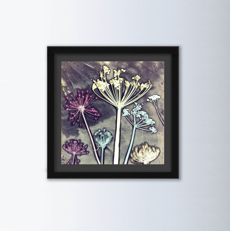 Friary Meadow By Gillian Arnold