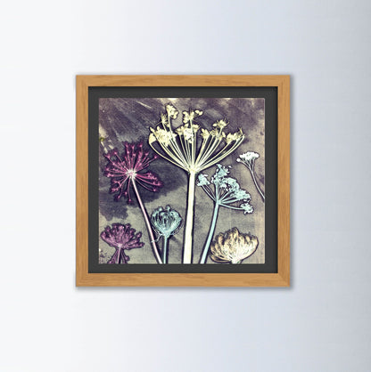 Friary Meadow By Gillian Arnold