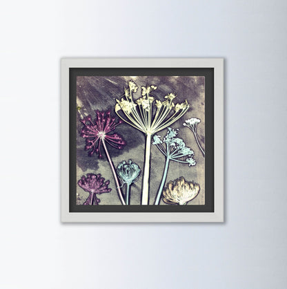 Friary Meadow By Gillian Arnold