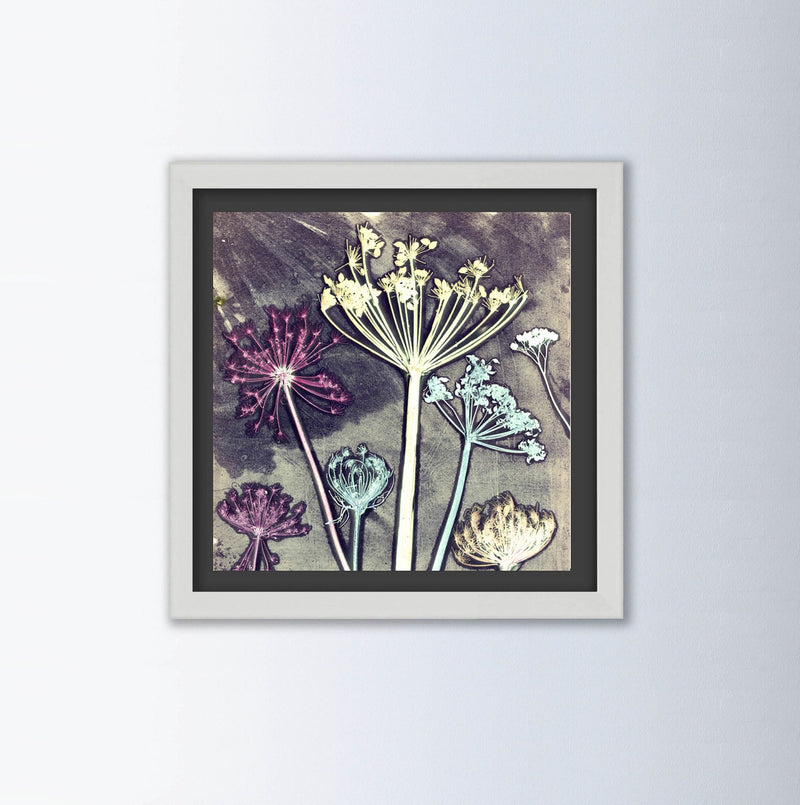 Friary Meadow By Gillian Arnold