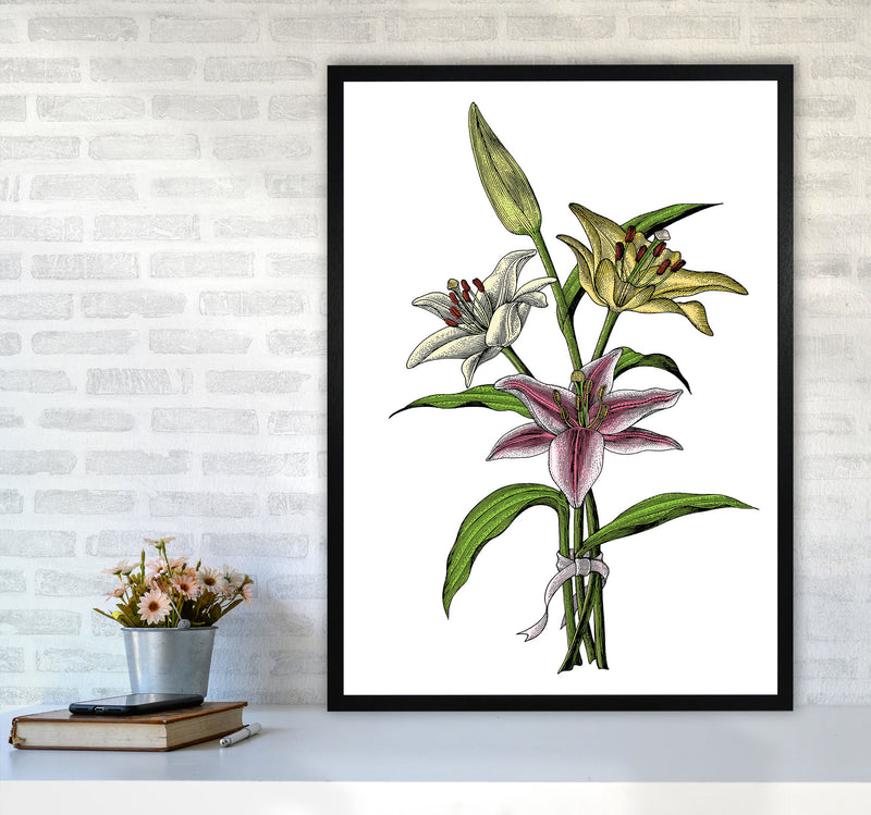 Vintage Lilly Illustration Art Print by Jason Stanley A1 White Frame