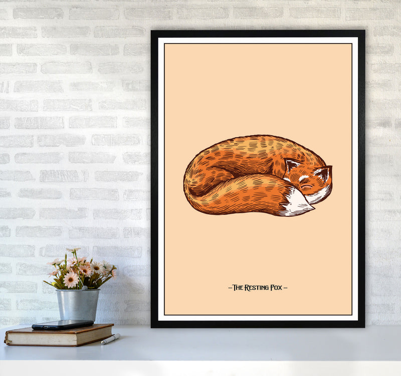 The Resting Fox Art Print by Jason Stanley A1 White Frame