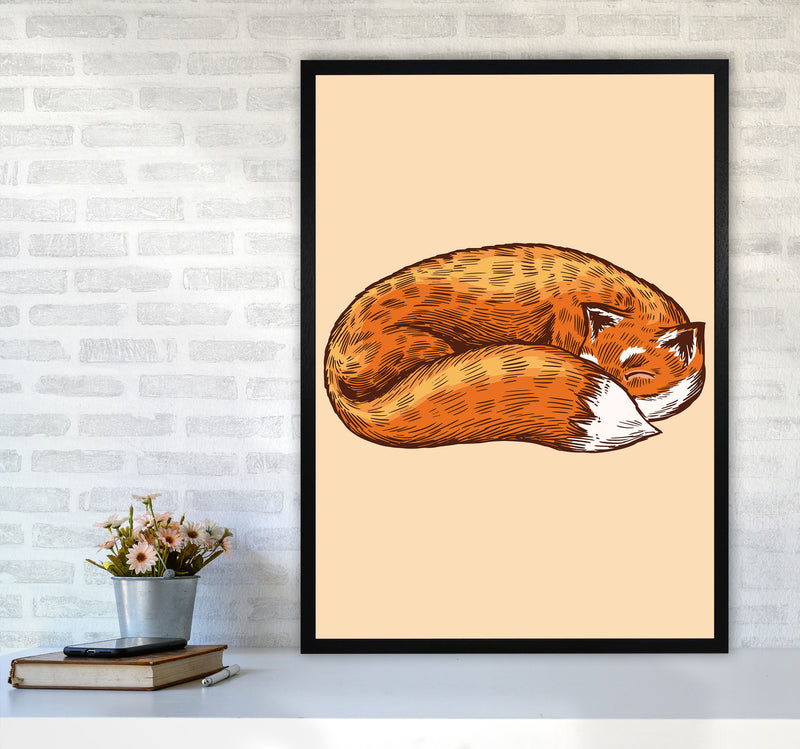 The Sleeping Fox Art Print by Jason Stanley A1 White Frame