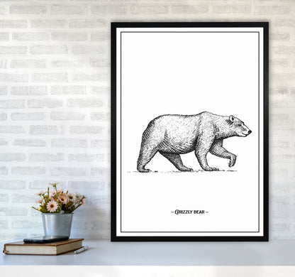 Grizzly Bear Art Print by Jason Stanley A1 White Frame