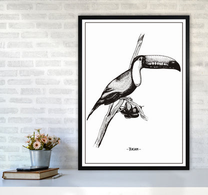 Tucan Art Print by Jason Stanley A1 White Frame