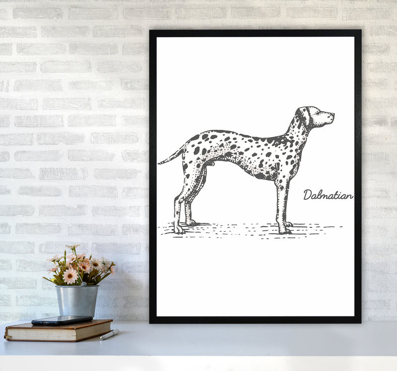 Dalmation Art Print by Jason Stanley A1 White Frame