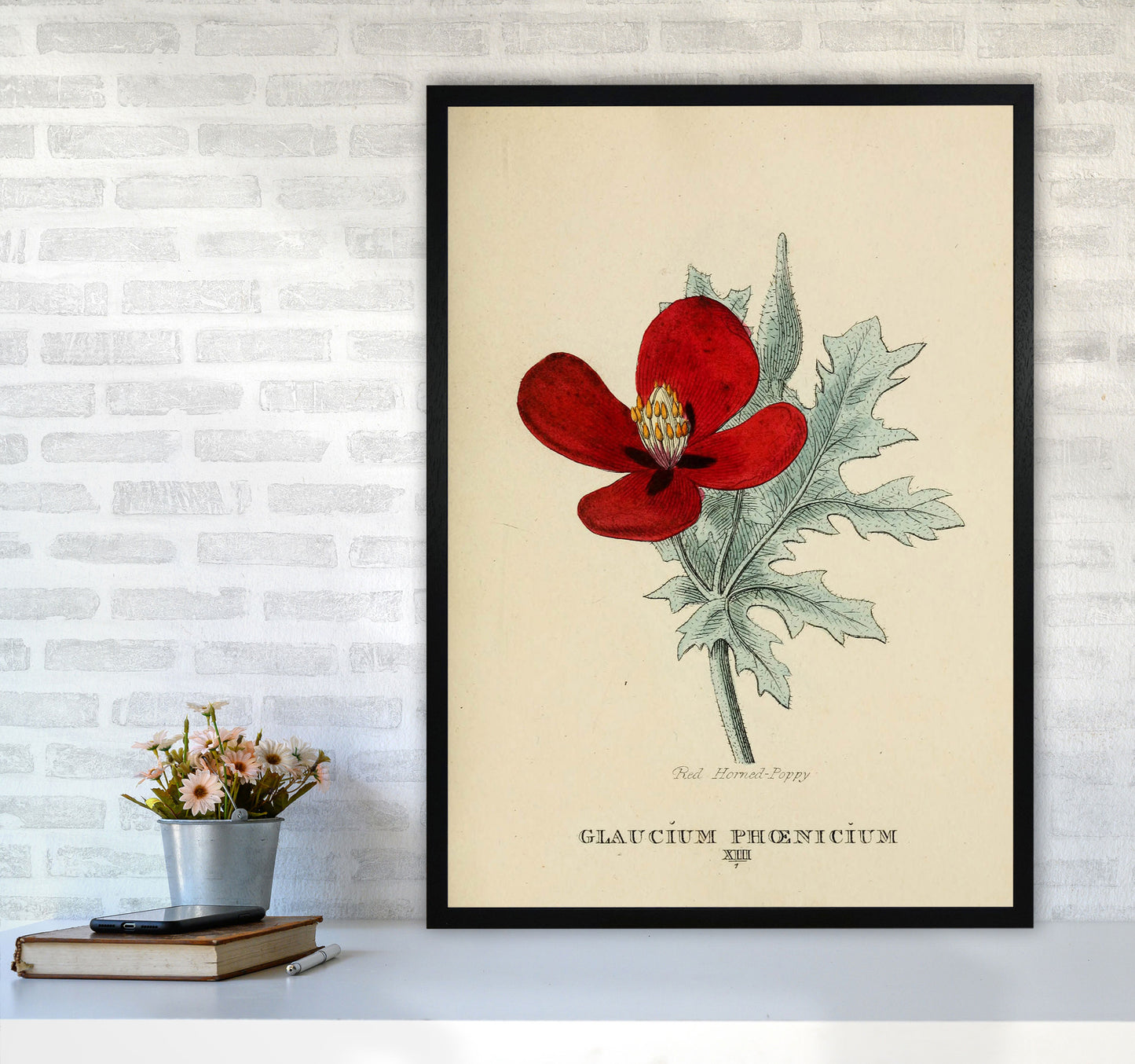 Vintage Flower Series 2 Art Print by Jason Stanley A1 White Frame