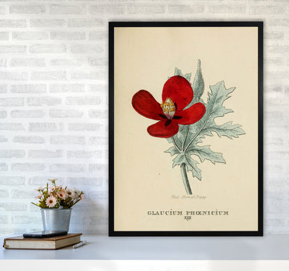 Vintage Flower Series 2 Art Print by Jason Stanley A1 White Frame