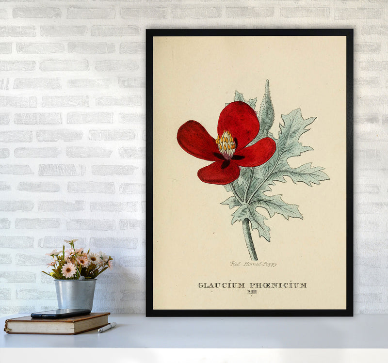 Vintage Flower Series 2 Art Print by Jason Stanley A1 White Frame