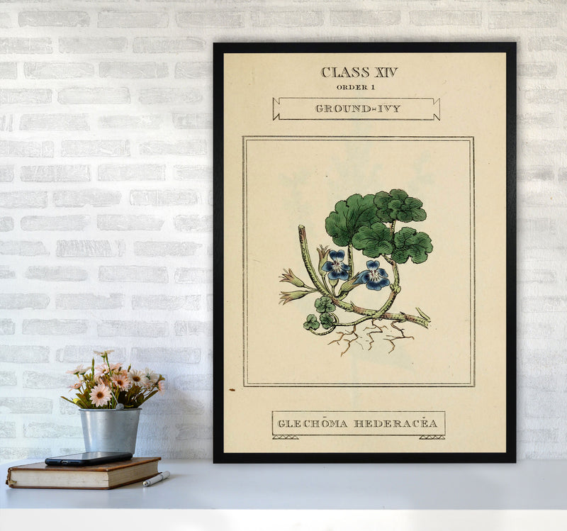Vintage Flower Series 8 Art Print by Jason Stanley A1 White Frame