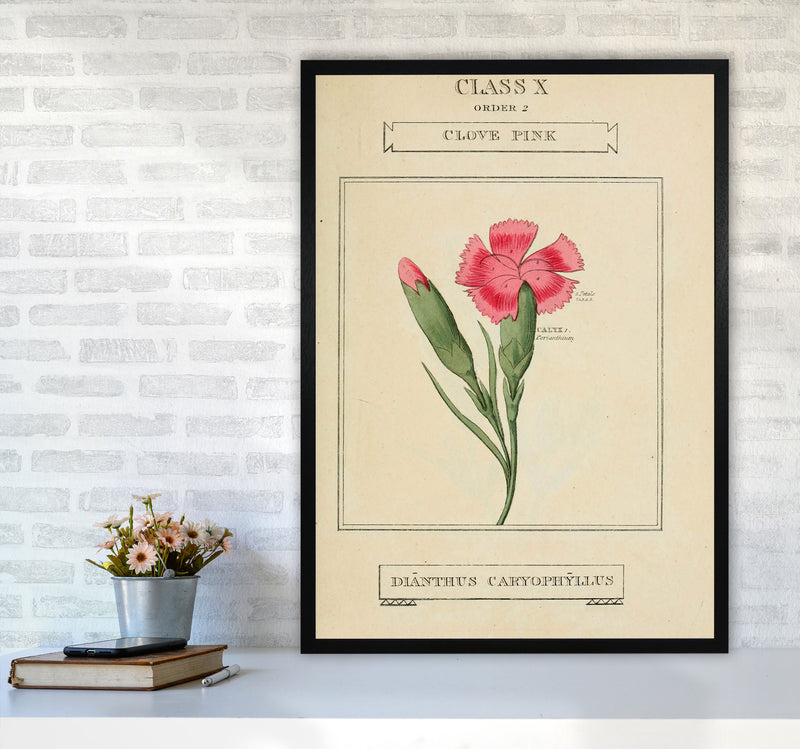 Vintage Flower Series 4 Art Print by Jason Stanley A1 White Frame
