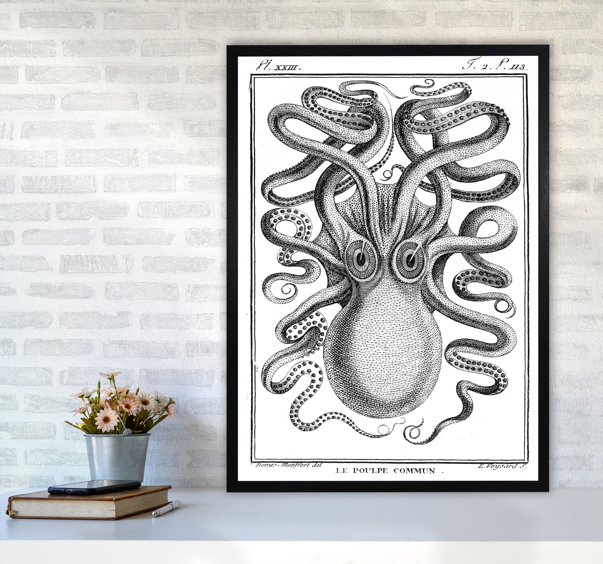 White Vintage Octopus Art Print by Jason Stanley A1 White Frame