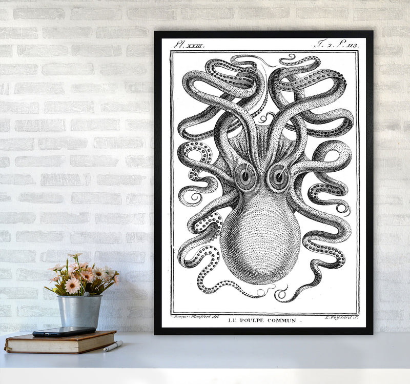 White Vintage Octopus Art Print by Jason Stanley A1 White Frame