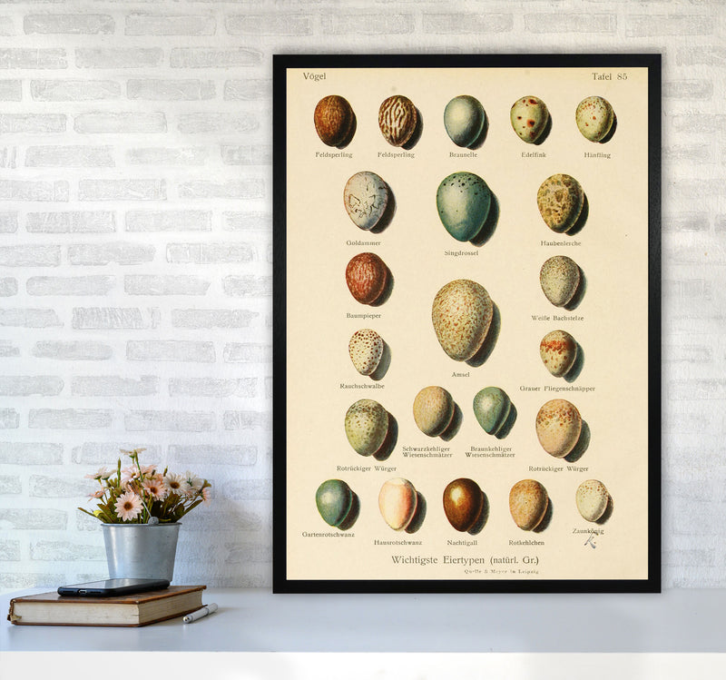 Vintage Set Of Eggs Art Print by Jason Stanley A1 White Frame