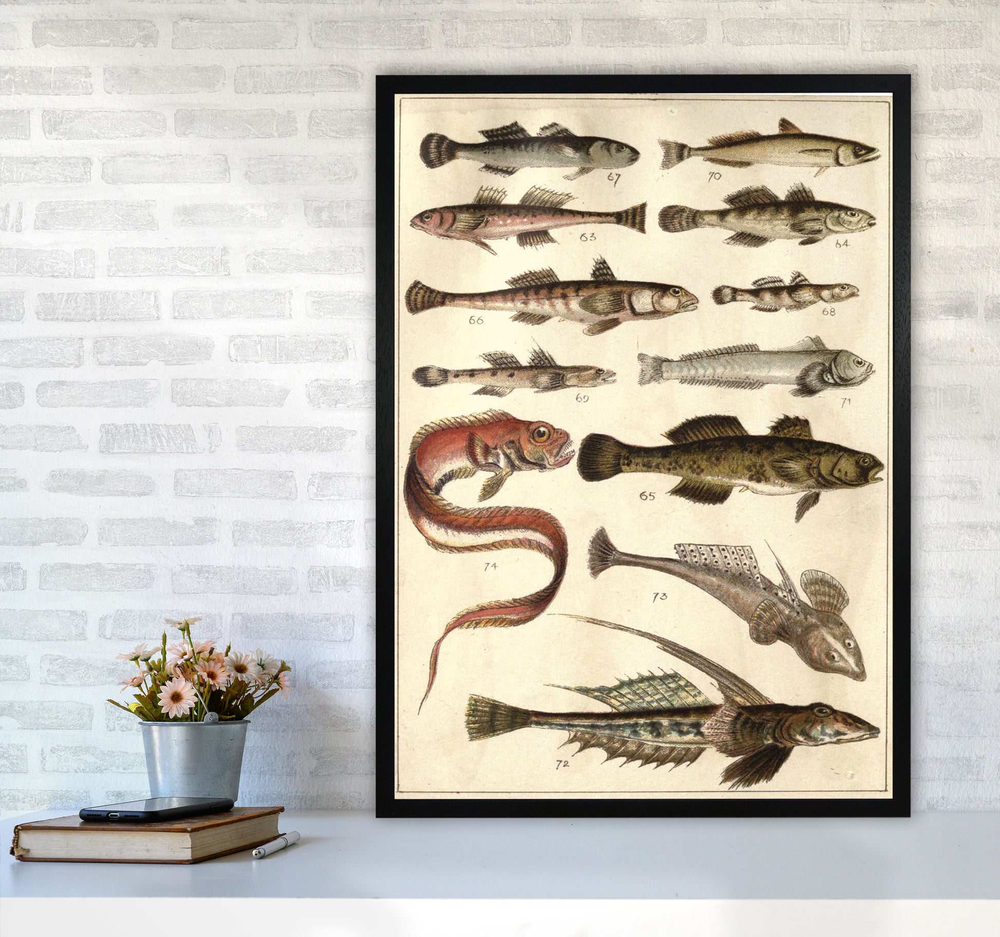 Creatures Of The Sea Art Print by Jason Stanley A1 White Frame