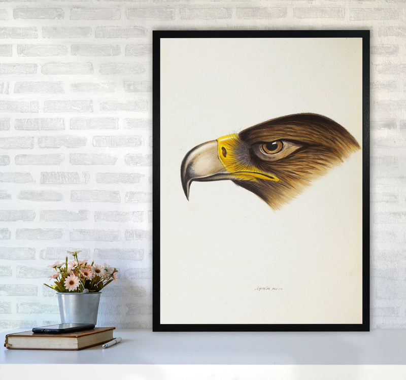 Vintage Eagle Face Art Print by Jason Stanley A1 White Frame