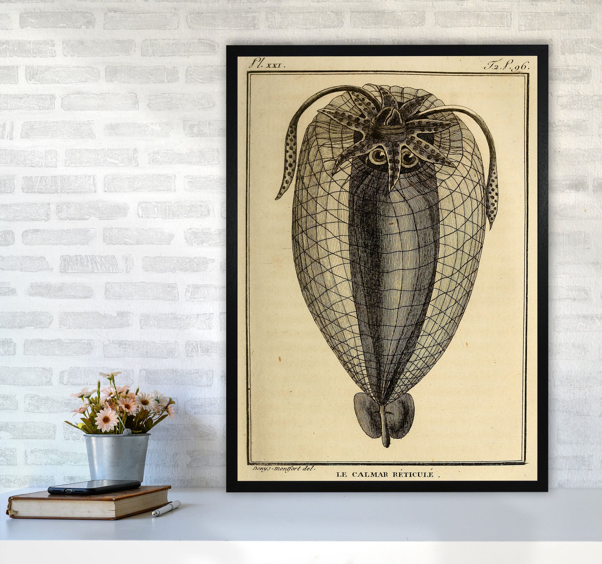 Vintage Squid 4 Art Print by Jason Stanley A1 White Frame