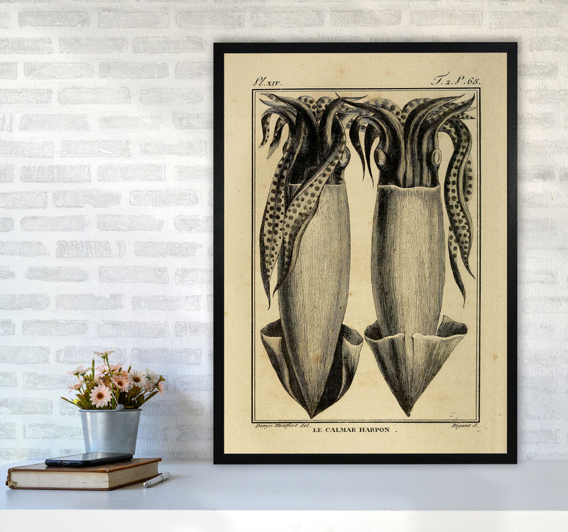 Vintage Squid 5 Art Print by Jason Stanley A1 White Frame
